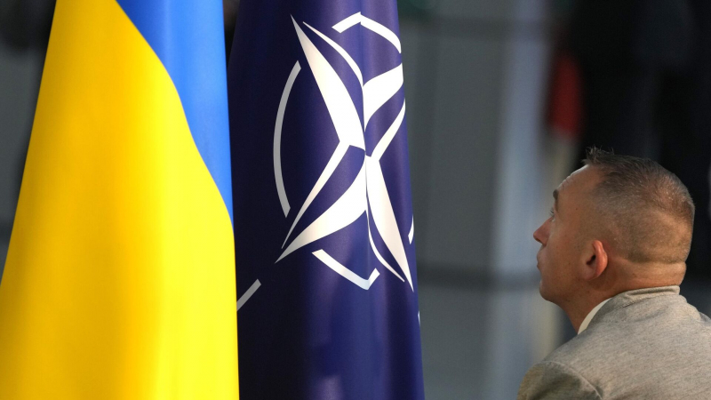 Американский экономист призвал США прекратить расширение НАТО