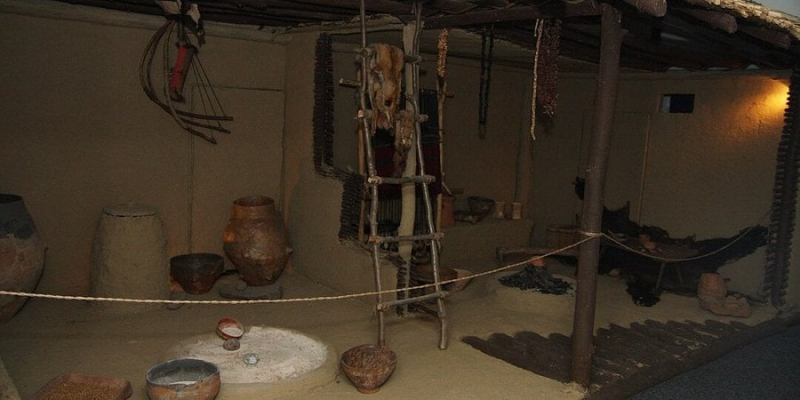 Сенсаційне відкриття. Німецькі вчені з’ясували, що трипільці були здебільшого вегетаріанцями